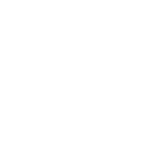 Icon Line